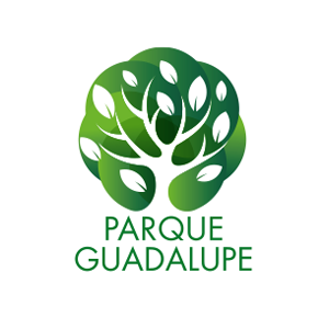 guadalupe2