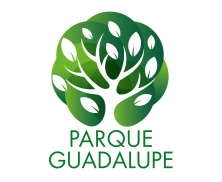 guadalupe2